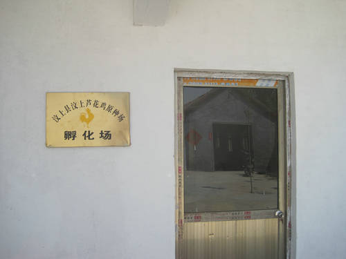 鿴ϸϢ⣺豸 Ķ2144
